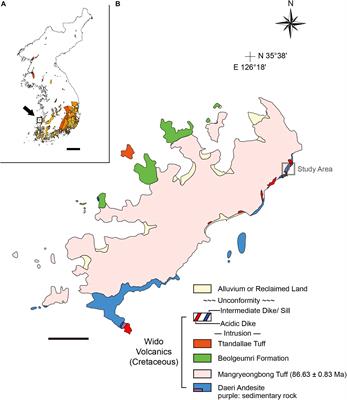 Raman Spectroscopy Detects Amorphous Carbon in an Enigmatic Egg From the Upper Cretaceous Wido Volcanics of South Korea